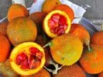 Momordica cochinchinensis - Détails d'un fruit mûr