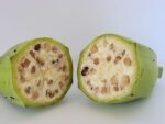 Musa balbisiana- Détails d'une banane plantain verte