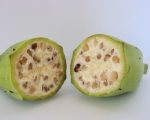 Musa balbisiana- Détails d'une banane plantain verte