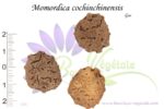 Graines de Momordica cochinchinensis, Momordica cochinchinensis seeds