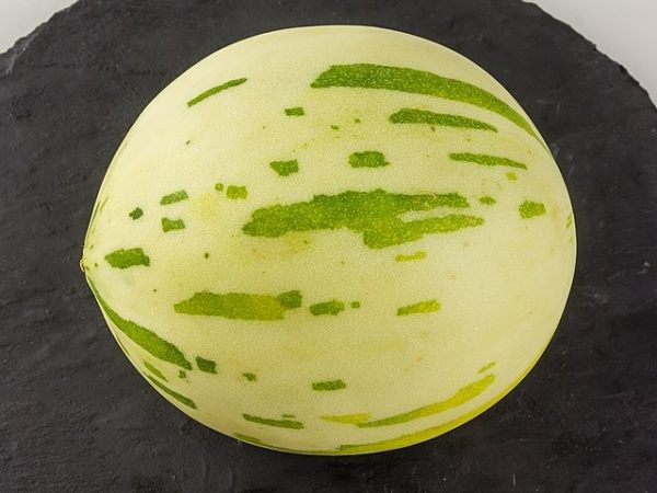 Melon blanc - Fruit entier