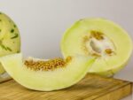 Graines de Cucumis melo - graines de Melon blanc