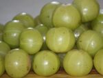 Phyllanthus emblica - Fruits