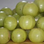 Phyllanthus emblica - Fruits
