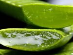 Aloe vera - Jus