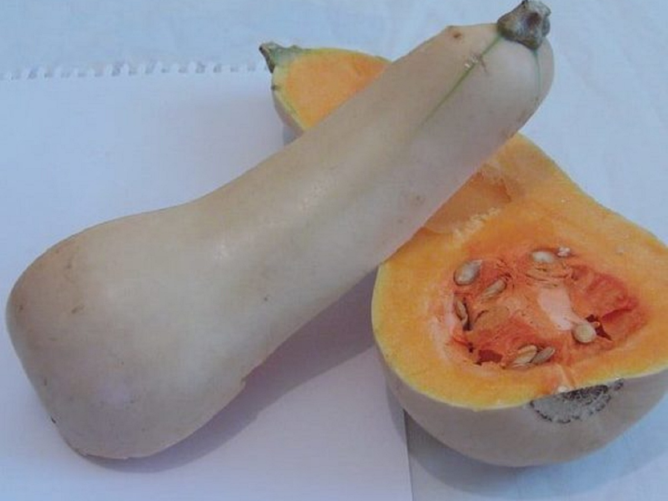 Graines BIO De Courge Butternut - 6 Graines Certifiées - Cucurbita Moschata