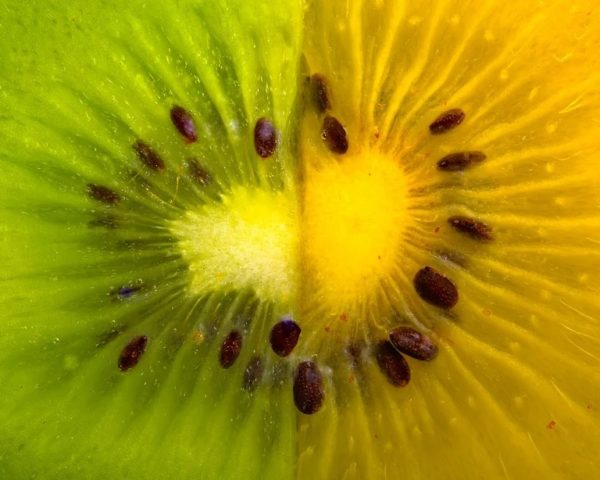 Actinidia deliciosa - Pulpe de kiwi jaune et kiwi vert