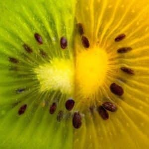 Actinidia deliciosa - Pulpe de kiwi jaune et kiwi vert
