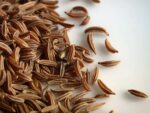 Graines de Carum carvi, graines de Cumin des prés