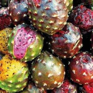 Stenocereus queretaroensis - Fruit