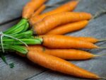 Graines de Daucus carota subsp. sativus, graines de Carotte nantaise 5