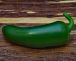 Jalapeno vert