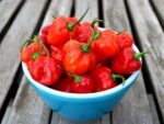 Piment cabri - Piments réunionnais matures