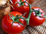 Tomate Alicante à pédoncule