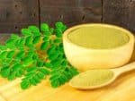 Moringa pterygosperma - Feuilles fraîches et en poudre