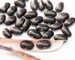 Mucuna pruriens - Pois mascate