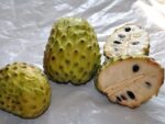 Annona squamosa - Détail d'un fruit