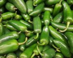 Piment Jalapeno - Capsicum annuum