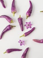Piment de Cayenne violet - Fruits et fleurs pourpre
