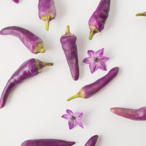 Piment de Cayenne violet - Fruits et fleurs pourpre