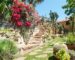 Créer son jardin tropical