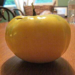 Tomate Beauté Blanche - Fruit entier