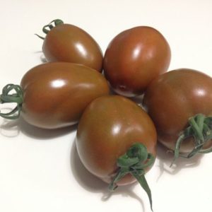 Tomate Cocktail noir - Fruits mûrs