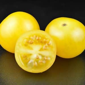 Tomate cerise jaune - Coupe d'un fruit