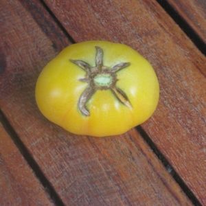 Tomate pêche jaune - Fruit entier