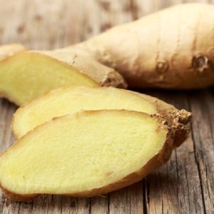 Zingiber officinale - Coupe d'un rhizome
