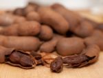 Tamarindus indica - Fruit avec coque