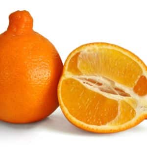 Citrus X Tangelo Minneola - Coupe d'un fruit
