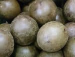 Siraitia grosvernorii - Fruits mûrs