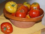 Tomate Brandywine Yellow - Fruits mûrs