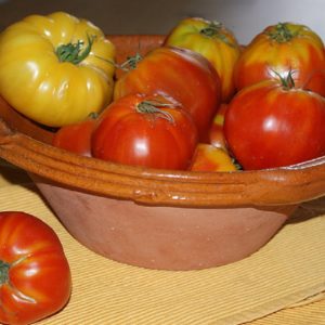 Tomate Brandywine Yellow - Fruits mûrs