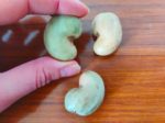 Anacardium occidentale - Noix de cajou fraiches