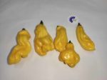 Piment Habanero Lemon Mme Jeanette