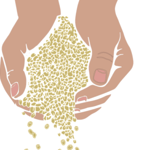 Vente en gros de graines - Wholesale seeds