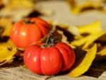 Solanum lycopersicum - Fruit côtelé de la Tomate Charlie Chaplin - Graines de Tomate Charlie Chaplin