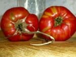 Tomate ananas rouge mûrs - Graines de Red Pineapple Tomato (CC0)