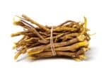 Coptis chinensis, Racines de Coptide chinois, graines de Coptis chinensis, semences Coptide chinois