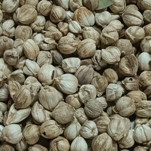 Amomum verum, Fruits et graines de Cardamome Krevanh, Graines d'Amomum verum, semences Amomum krevanh