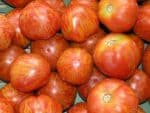 Graines de Tomate Tigerella, Graines de Solanum lycopersicum, Mr Stripey, Tomate tigre