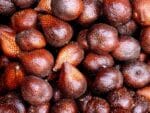 Graines de Salacca zalacca, Salak