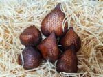 Fruits de Salak, Salak frais, Fruits peau de serpent, Achat Salak