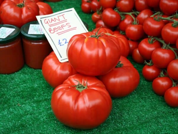 Etal de tomates géantes