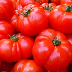 Graines de Solanum lycopersicum, graines de tomate géante