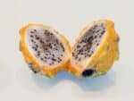 Selenicereus megalanthus, Fruits de Pitaya jaune, Graines de Selenicereus megalanthus, Graines de pitaya jaune
