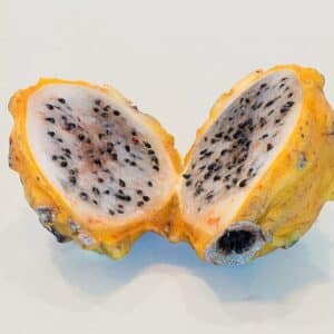 Selenicereus megalanthus, Fruits de Pitaya jaune, Graines de Selenicereus megalanthus, Graines de pitaya jaune