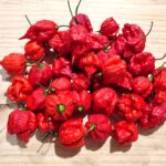 Piments 'Carolina reaper', Piment Faucheuse de la Caroline, graines de piments Carolina reaper, graines piment Faucheuse de la Caroline